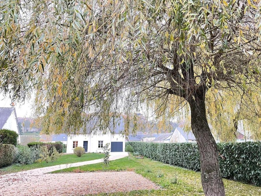Havre De Paix Spa Proche Amboise & Chateaux De La Loire Noizay Ngoại thất bức ảnh
